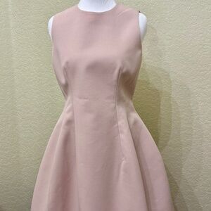 Zara Blush A-line Dress, XS, New with Tags.